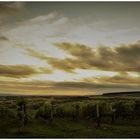 Wolken über den Weinbergen