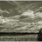 Wolken über der Aller