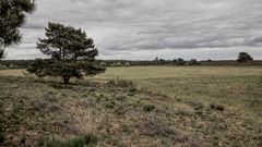 *** Wolken über der Heide ***