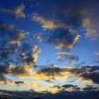 Wolken über der Heidelandschaft Kesselweiher; Hilden; NRW. Frühmorgens gegen 06:00