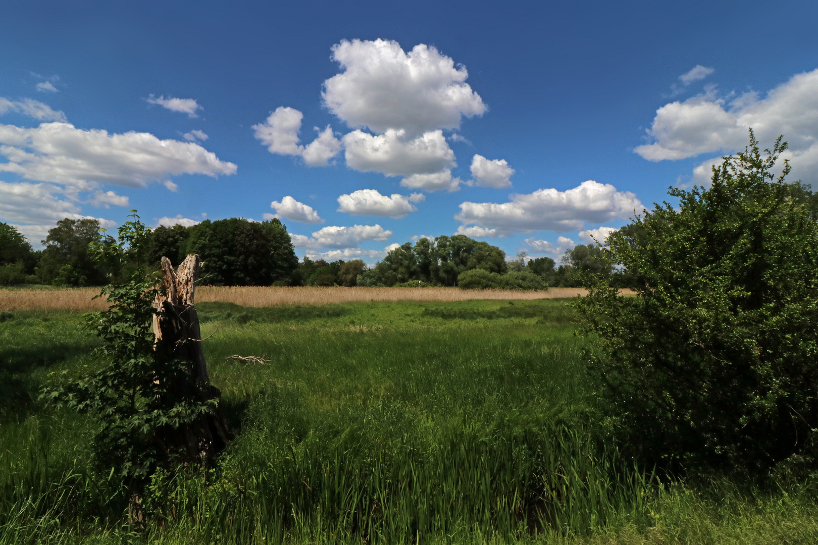 Wolken über der Pepperwiese