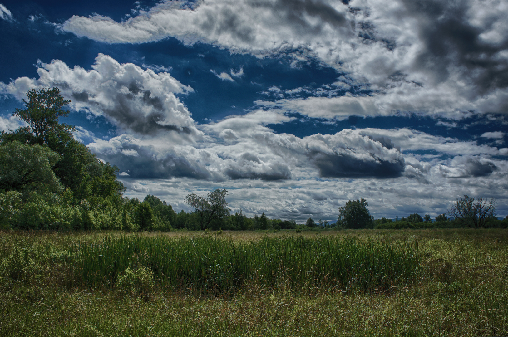 Wolken über der Petite Camargue