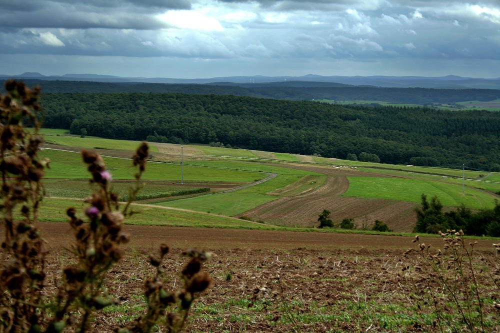 Wolken über der Pfalz