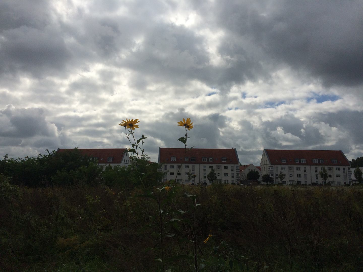 Wolken über der Stadt