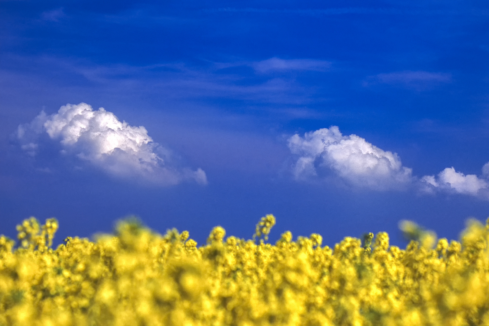 Wolken über der Ukraine 