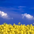 Wolken über der Ukraine 