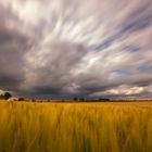 Wolken über Feldern