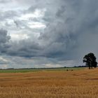 Wolken über Landschaft