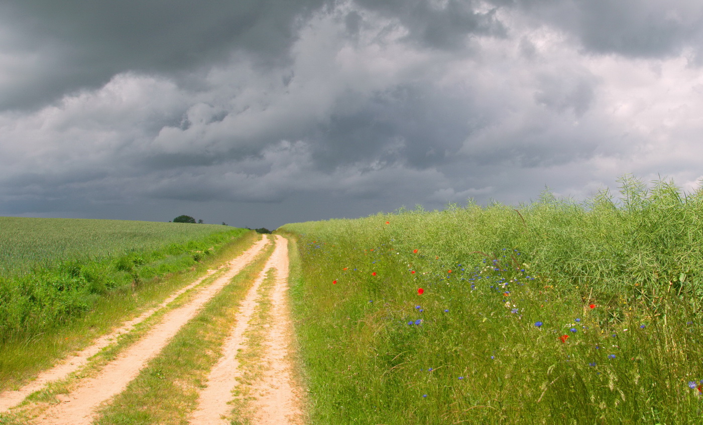 Wolken über Landschaft