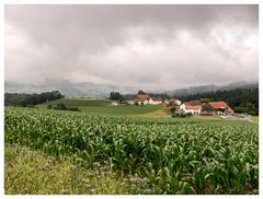 Wolken über Lindbüchl