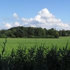 Wolken über unserem kleinen Wald ....