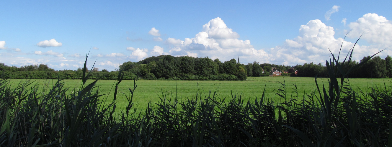 Wolken über unserem kleinen Wald ....