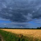 Wolken über Weizen