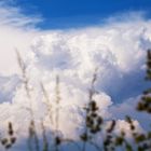 Wolken über Zeutern