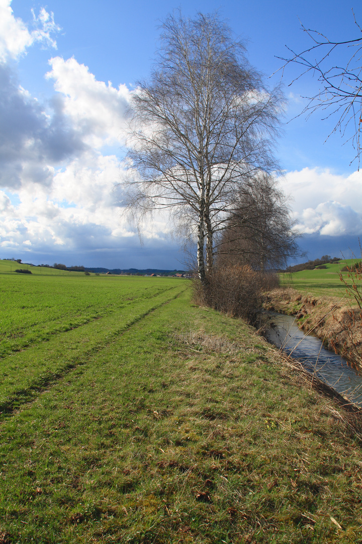 Wolken überm Bühlertal