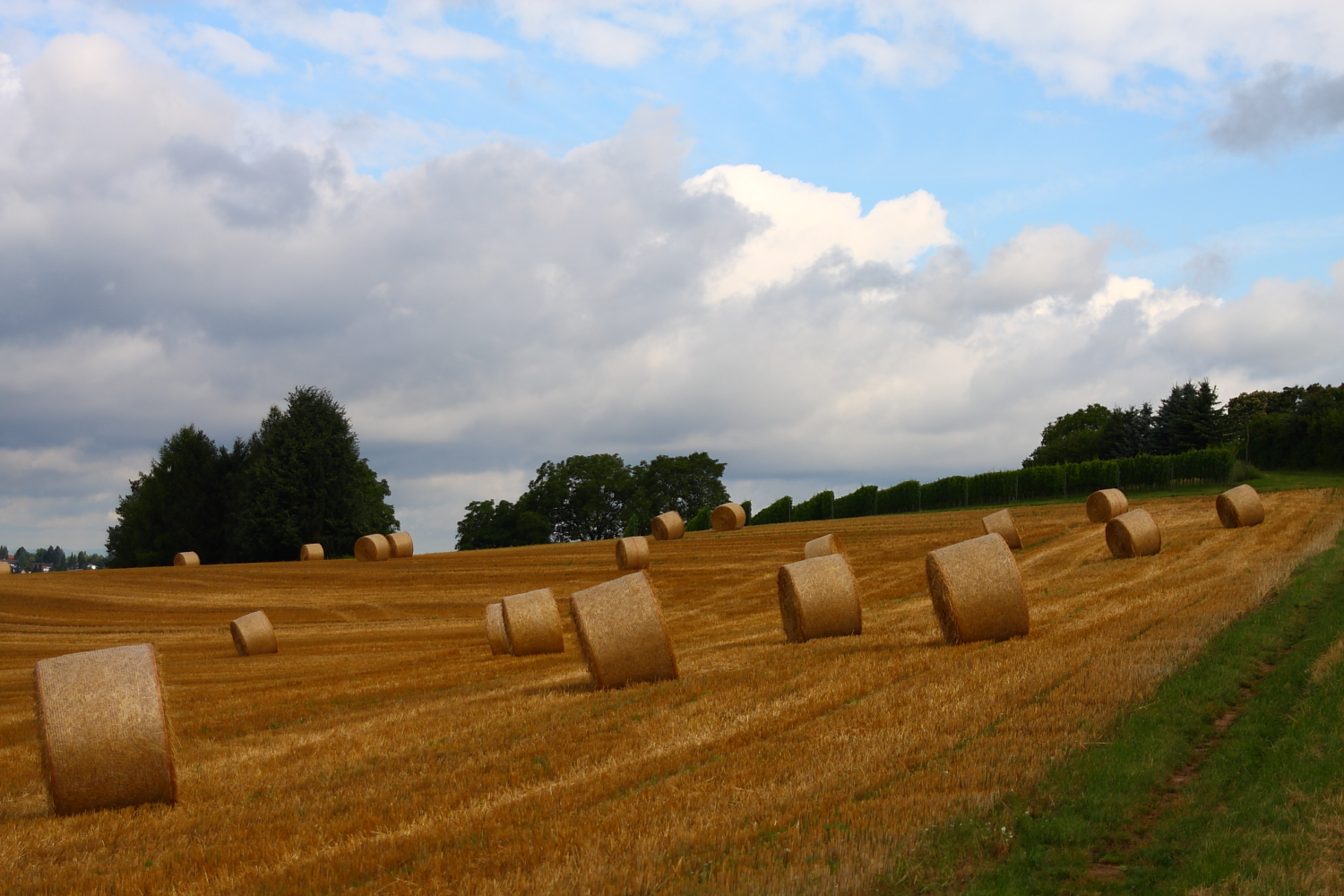 Wolken überm Feld