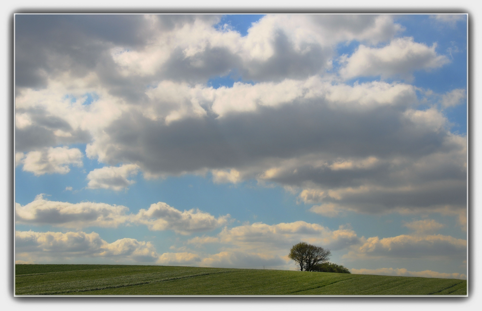 Wolken überm Feld