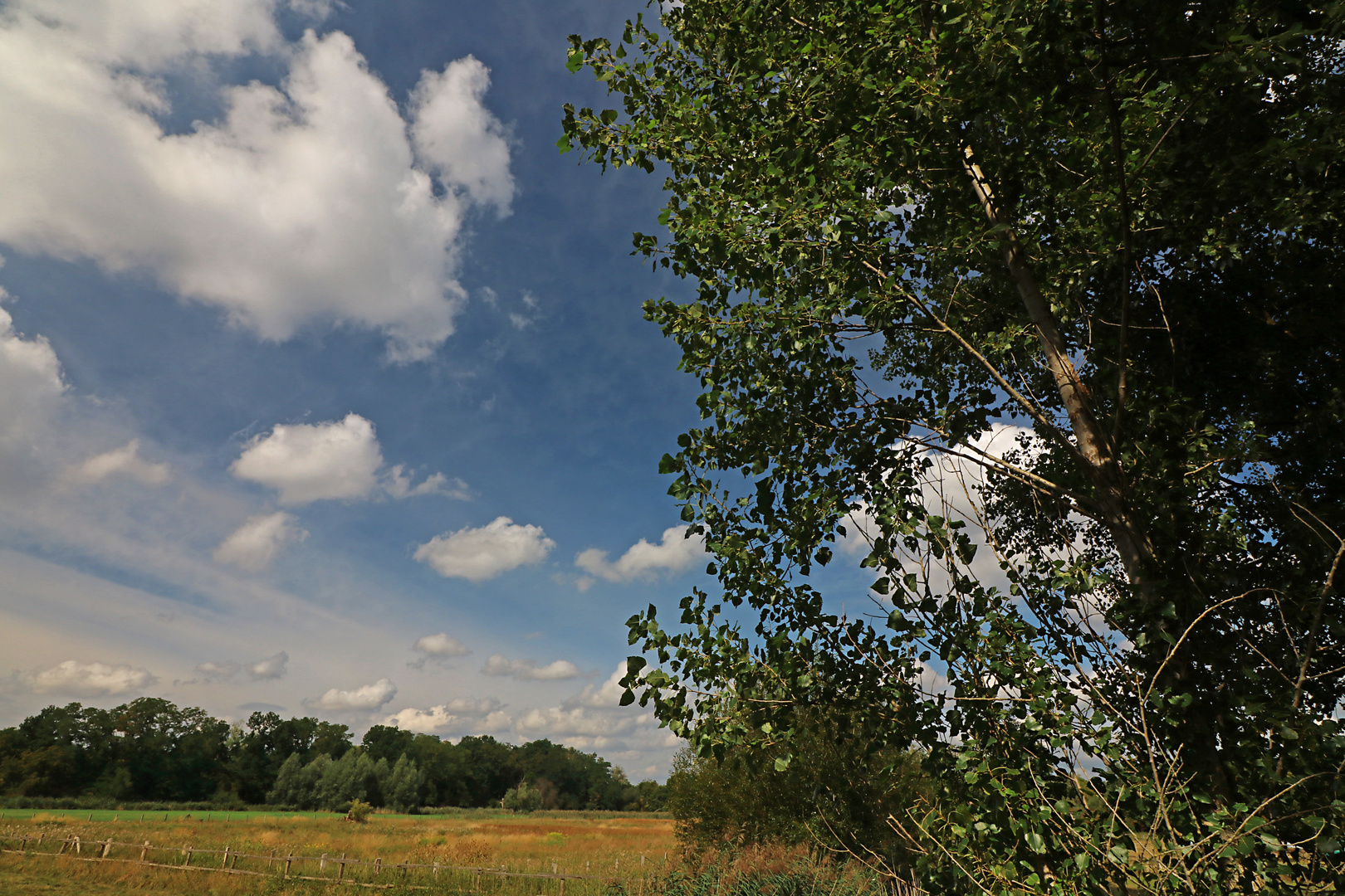 Wolken überm Grasland