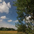 Wolken überm Grasland