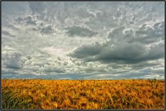 Wolken überm Kornfeld