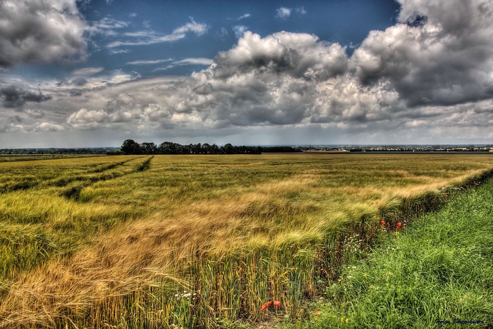 Wolken überm Kornfeld