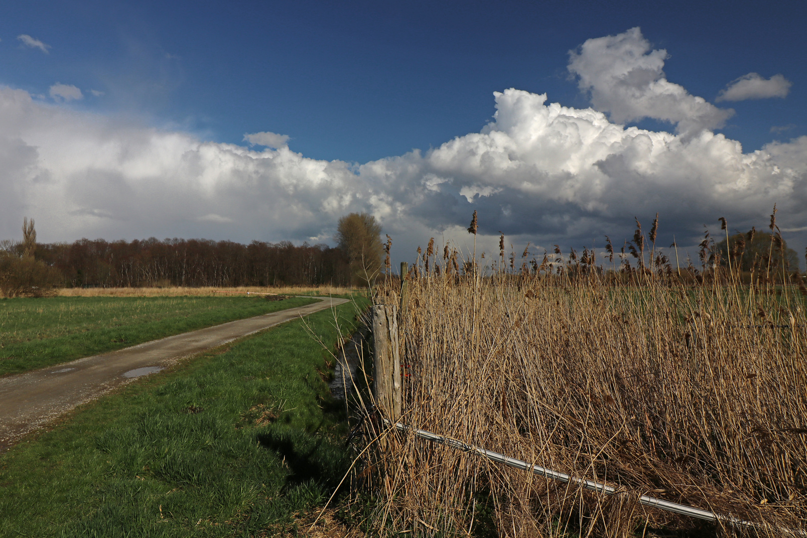 Wolken überm Lammer Bruch