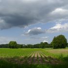 Wolken überm Maisfeld