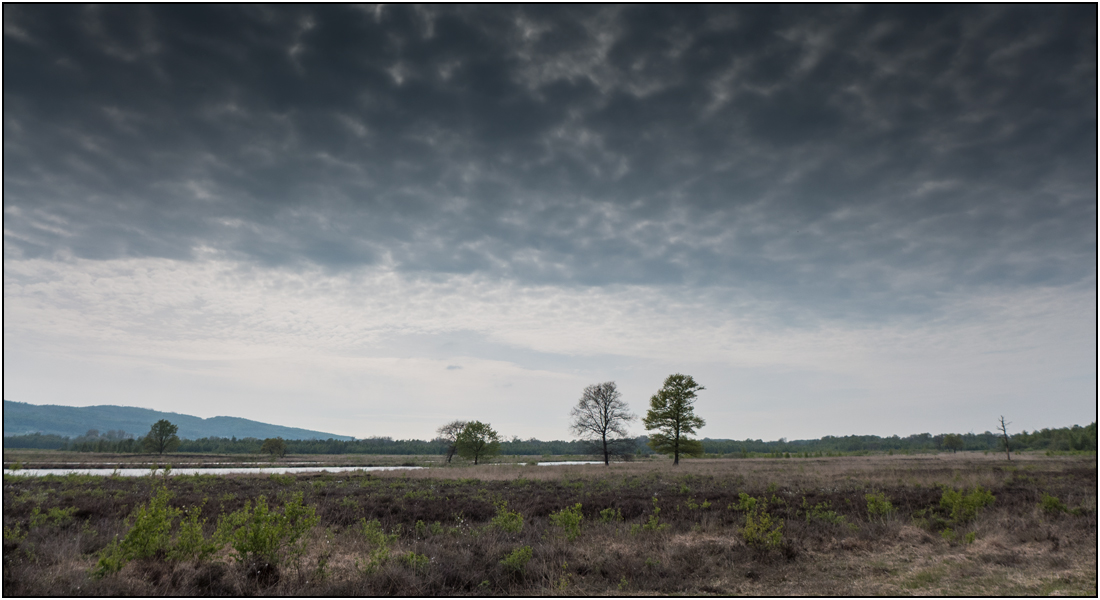 Wolken über´m Moor