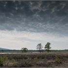 Wolken über´m Moor