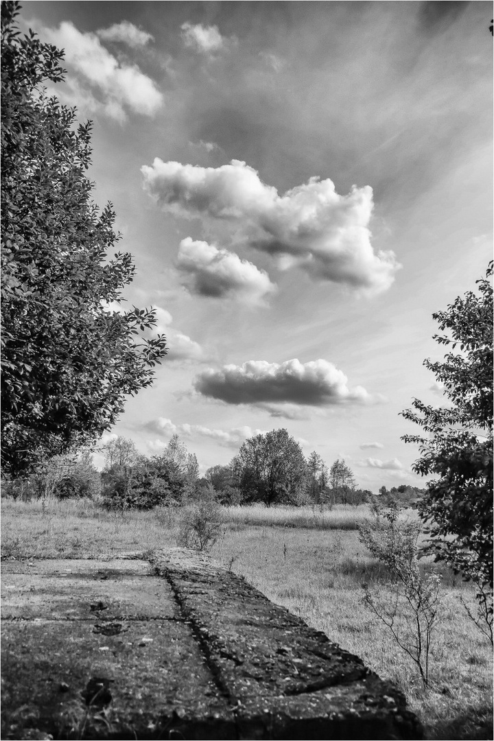 Wolken über´m NSG 