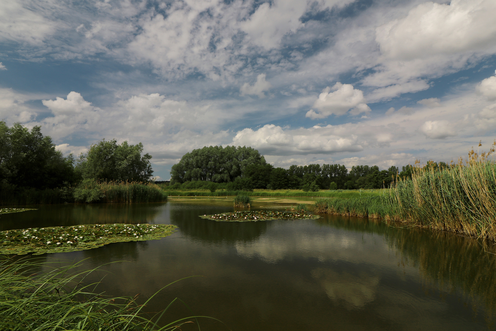 Wolken überm Regenbecken