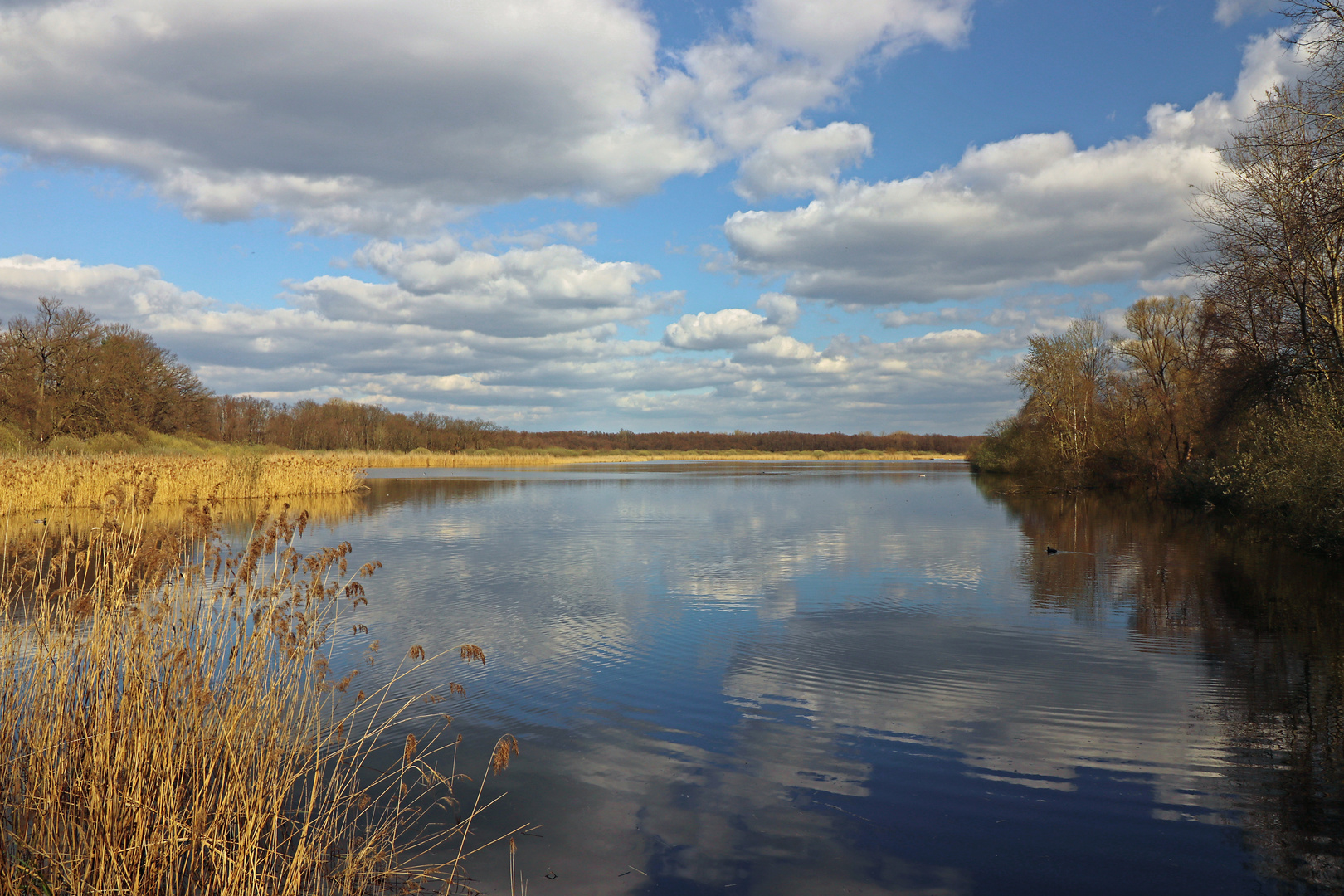 Wolken überm Schapenbruch