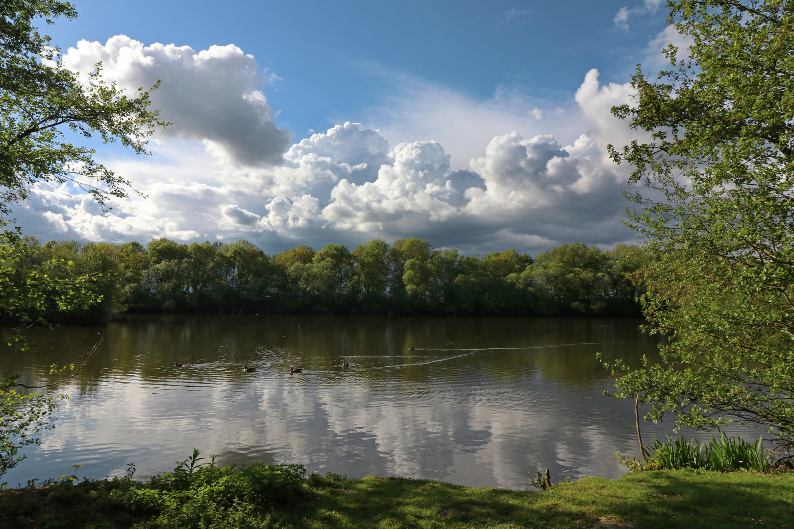 Wolken überm Teich 