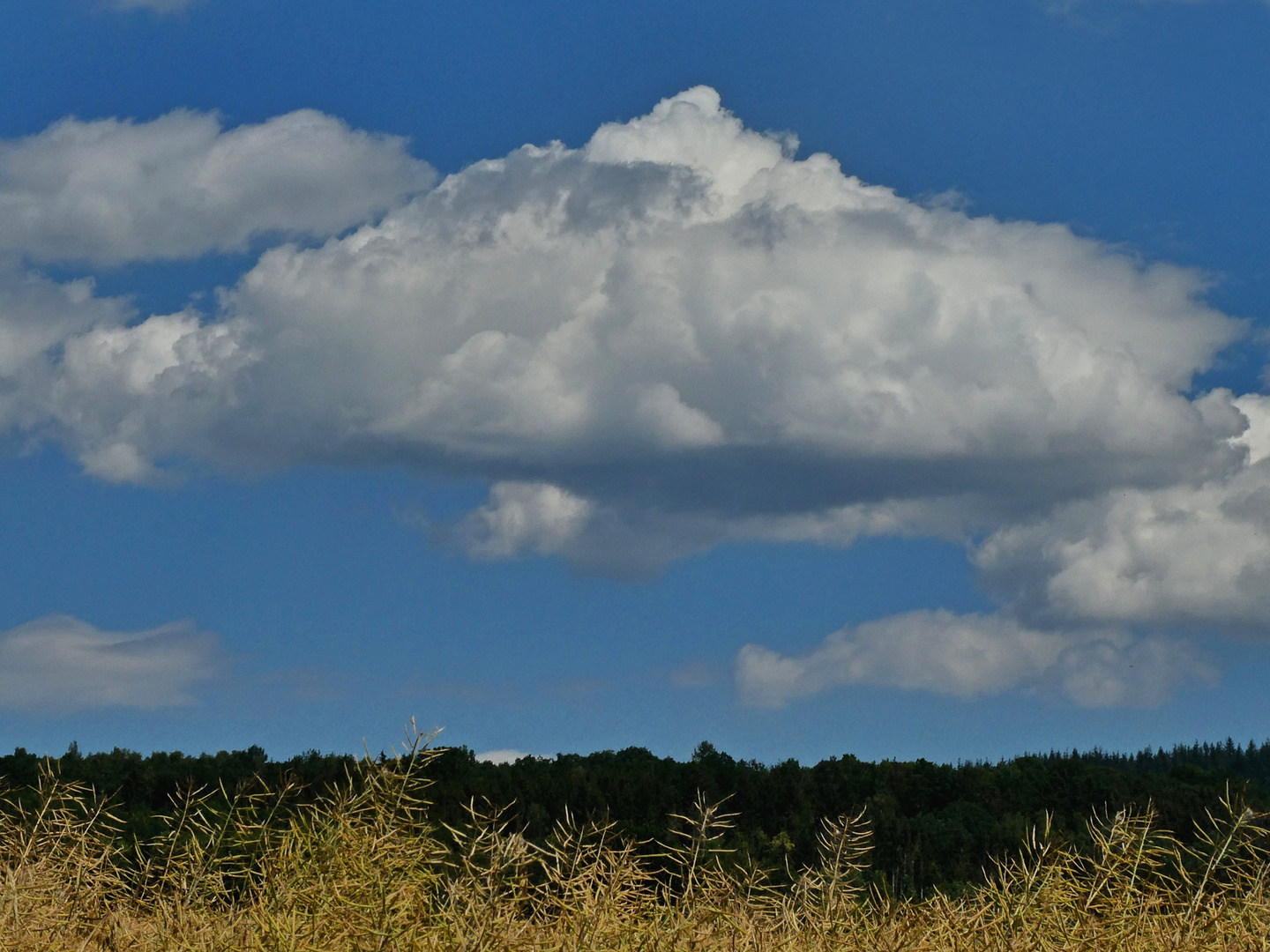 Wolken überm verblühten Raps