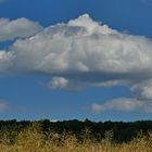 Wolken überm verblühten Raps