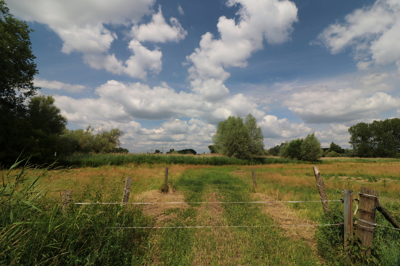 Wolken überm Weideland