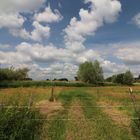 Wolken überm Weideland