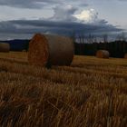 Wolken-und Abendstimmung auf dem Getreidefeld