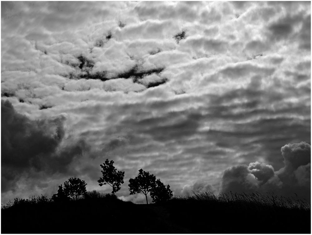 Wolken und Bäume ...