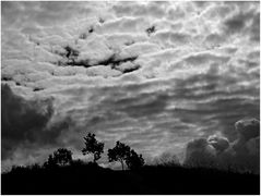 Wolken und Bäume ...