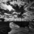 wolken und bäume .