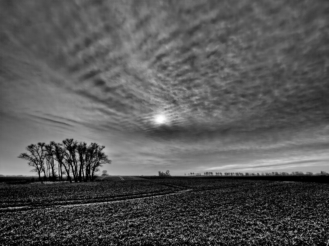 wolken und bäume