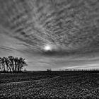 wolken und bäume