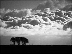 Wolken und Bäume ...