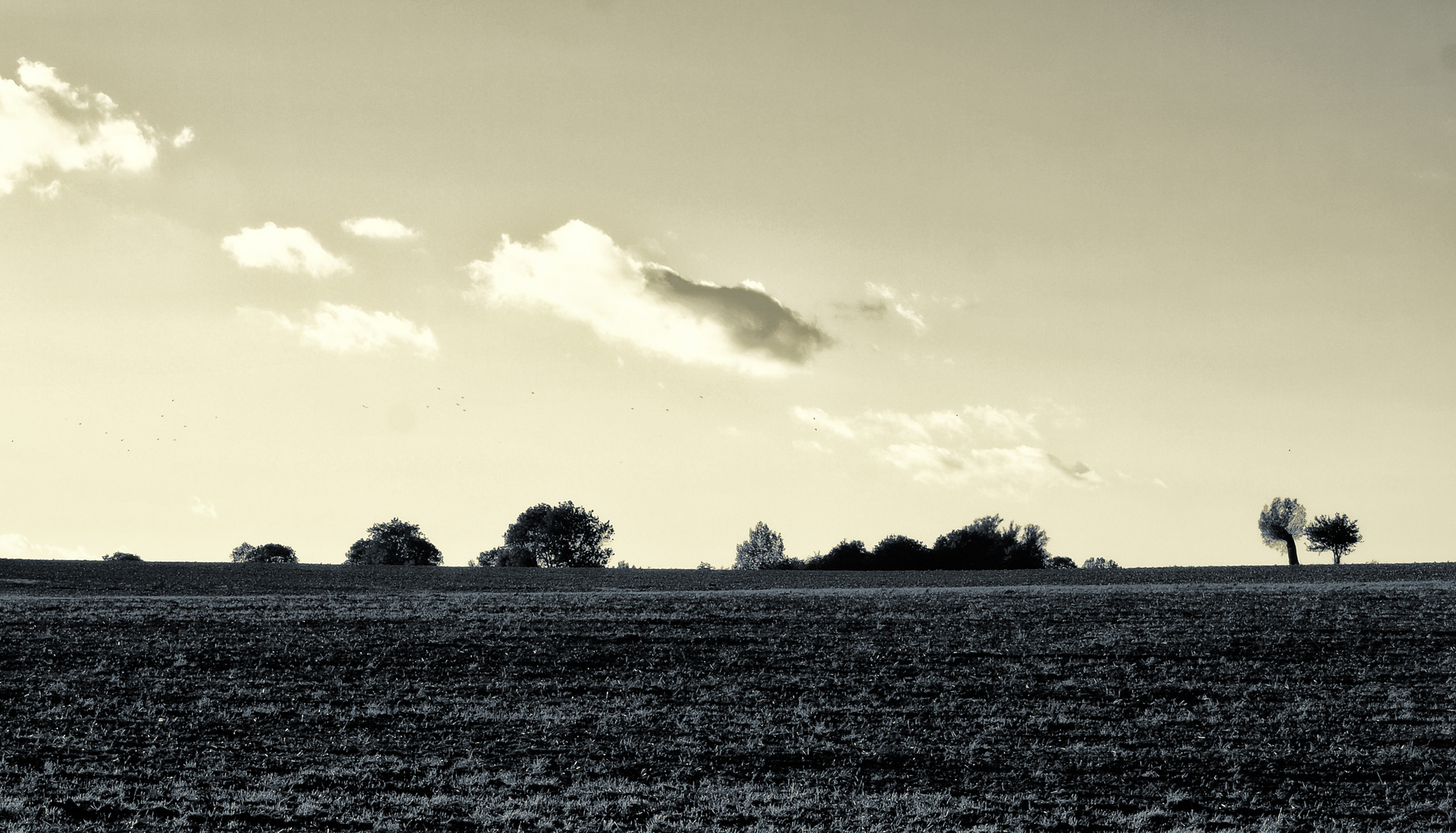 wolken und bäume