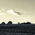 wolken und bäume