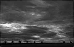 Wolken und Bäume ...