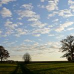 Wolken und Bäume...