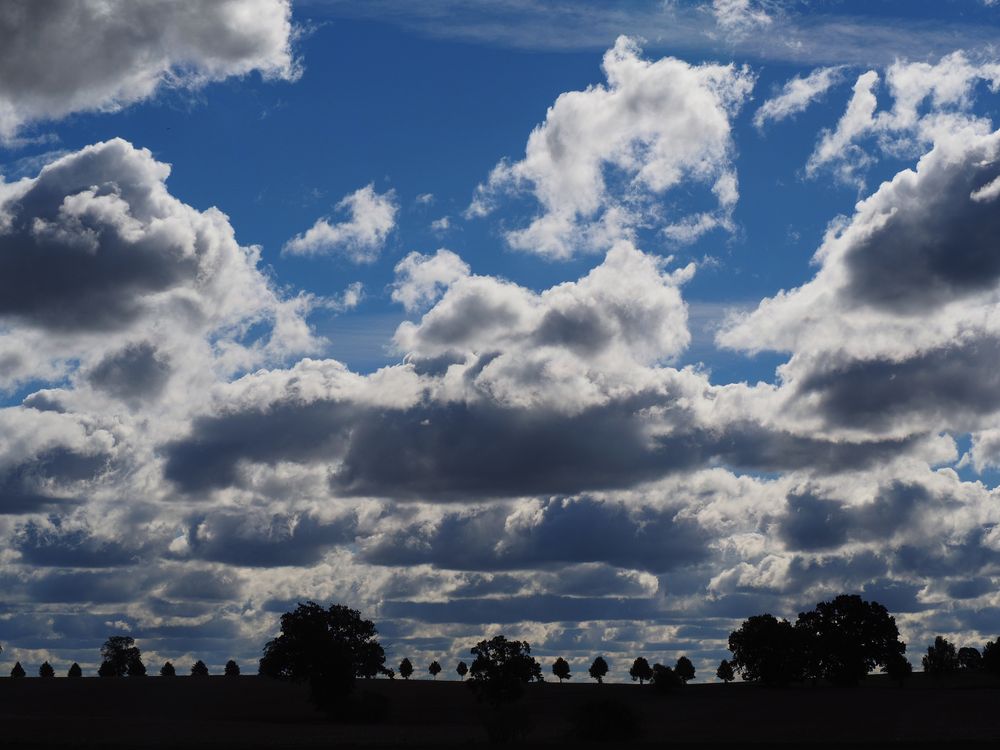 Wolken und Bäume ...