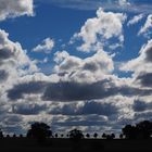 Wolken und Bäume ...